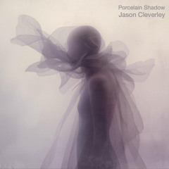Porcelain Shadow by J Cleverley