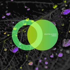 Bolotin & Mjunior - Mars (Original Mix)