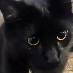 Sticky (MUDB0N3's Sexy Dubstep Mix)