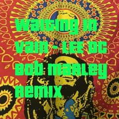 Waiting In Vain - LEE O C Bob Marley Remix House Music Rave bass tech house hard house techno dance