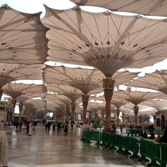 ﴿إِنَّ رَبِّي لَسَمِيعُ الدُّعَاءِ﴾