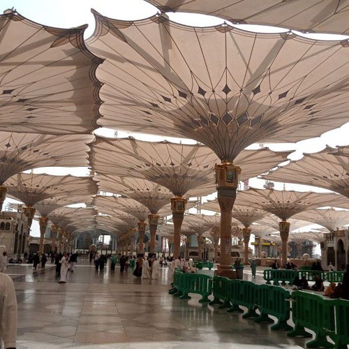 ﴿إِنَّ رَبِّي لَسَمِيعُ الدُّعَاءِ﴾