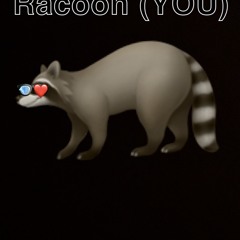 Racoon(YOU)