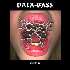 DATA-BASS