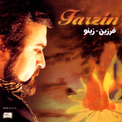 Farzin - Doret Begardam | فرزین - دنبالت می گردم
