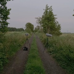 Four Seasons Of Noise