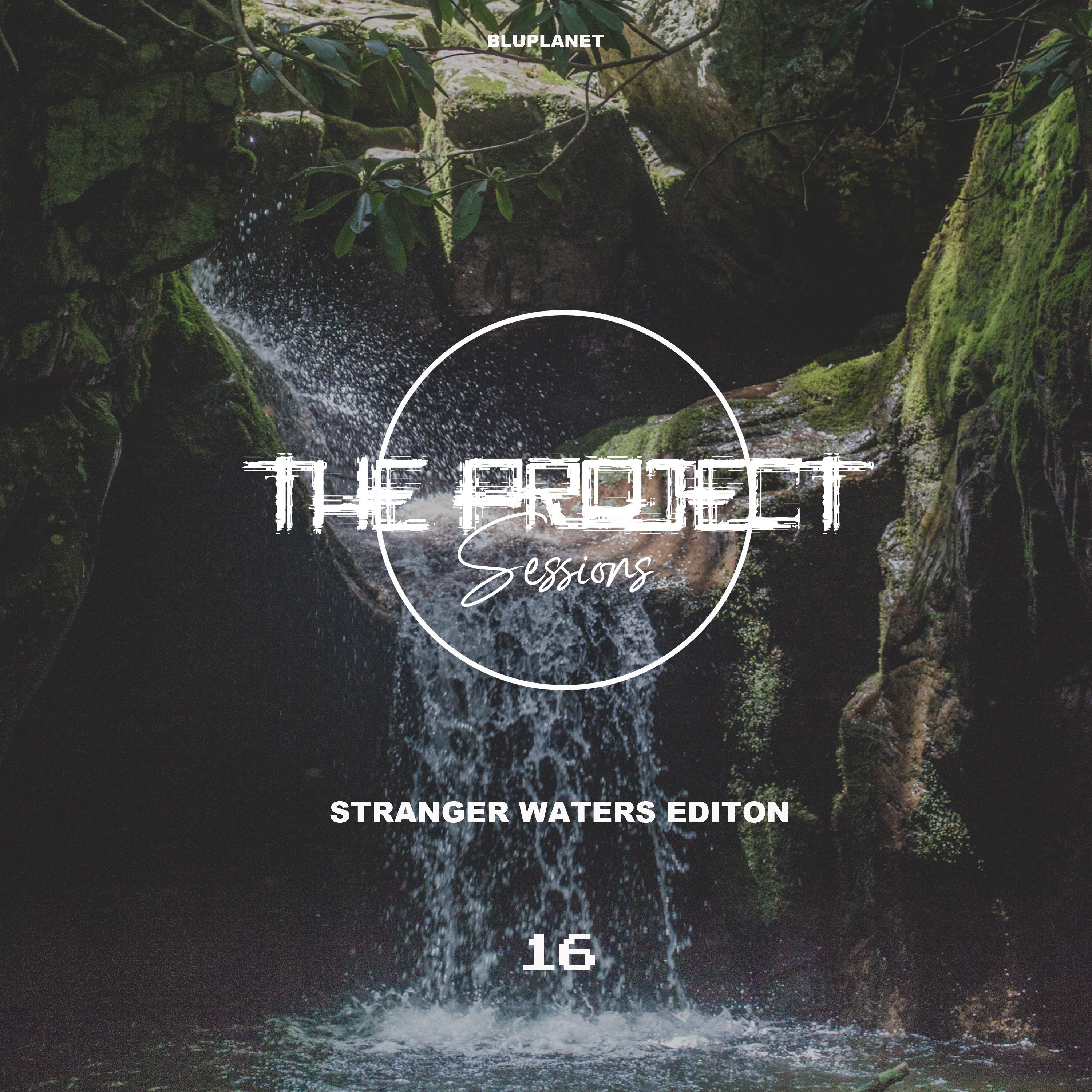 The Project Sessions