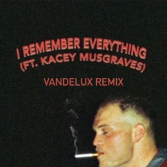I Remember Everything (Vandelux Remix)