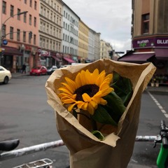 Sun will find you