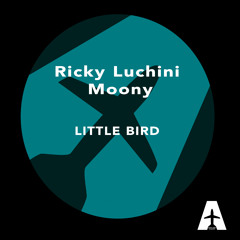 Little Bird (Alex Gaudino & Jason Rooney Remix)