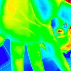 Anything I Can Do 3.loopyrecording