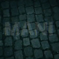 TJ Mani - Bagsædet
