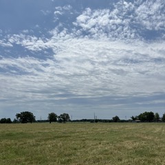 Summer Ambient Vibes