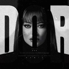 Delia - Dor (Robert Georgescu and White Remix)