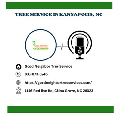 how-to-tell-if-a-tree-needs-to-be-removed-in-kannapolis-nc