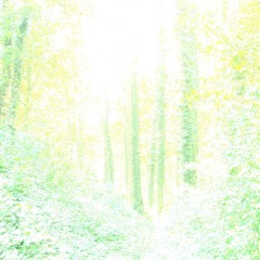 Acoustic Trip over Fields of Silver