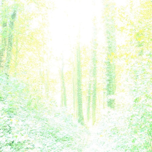 Acoustic Trip over Fields of Silver