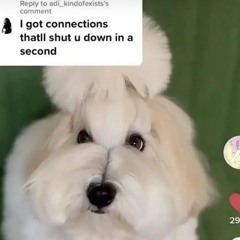 Roblox Condemned OST – Noubit chase theme