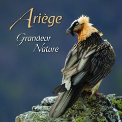Bande Son Ariège Grandeur Nature - volume 1 - BOCAGE VERGER FIN DE PRINTEMPS