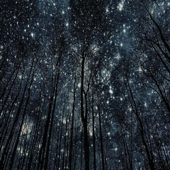 Stars and Sheaves (AYT, MGM)