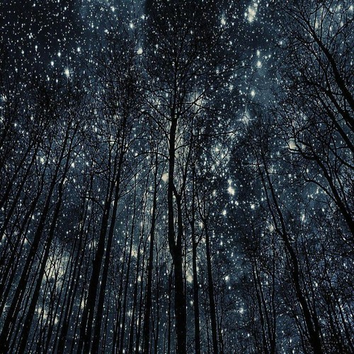 Stars and Sheaves (AYT, MGM)