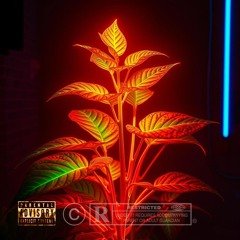 LOVE IT (IYKYK) Prod. LIPS
