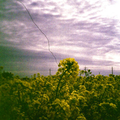 Greenhills Wandering