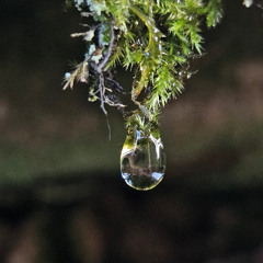 Completando Circulos