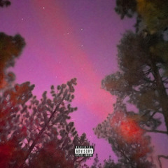 Twinkles of the Pine