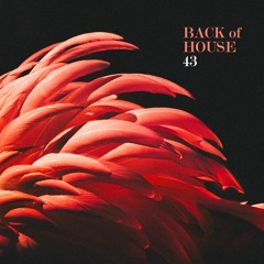 Back of house v.43