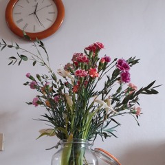 Untitled Playlist_25.03.2025