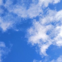 شرح_المنهاج_من_ميراث_النبوة_تربية_النبي_ﷺ_أصحابه_على_العمل_أ.m4a