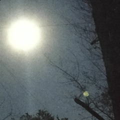 euphoria (feat. auphinity)