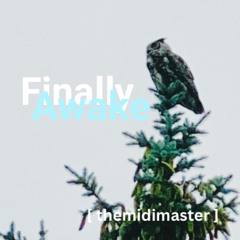 Finally Awake