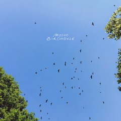 Mosoo - Birdhouse