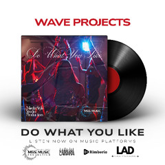 WAVE Projects - Do What You Like (Original Edit)