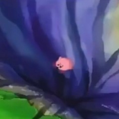 Kirby falling and screaming