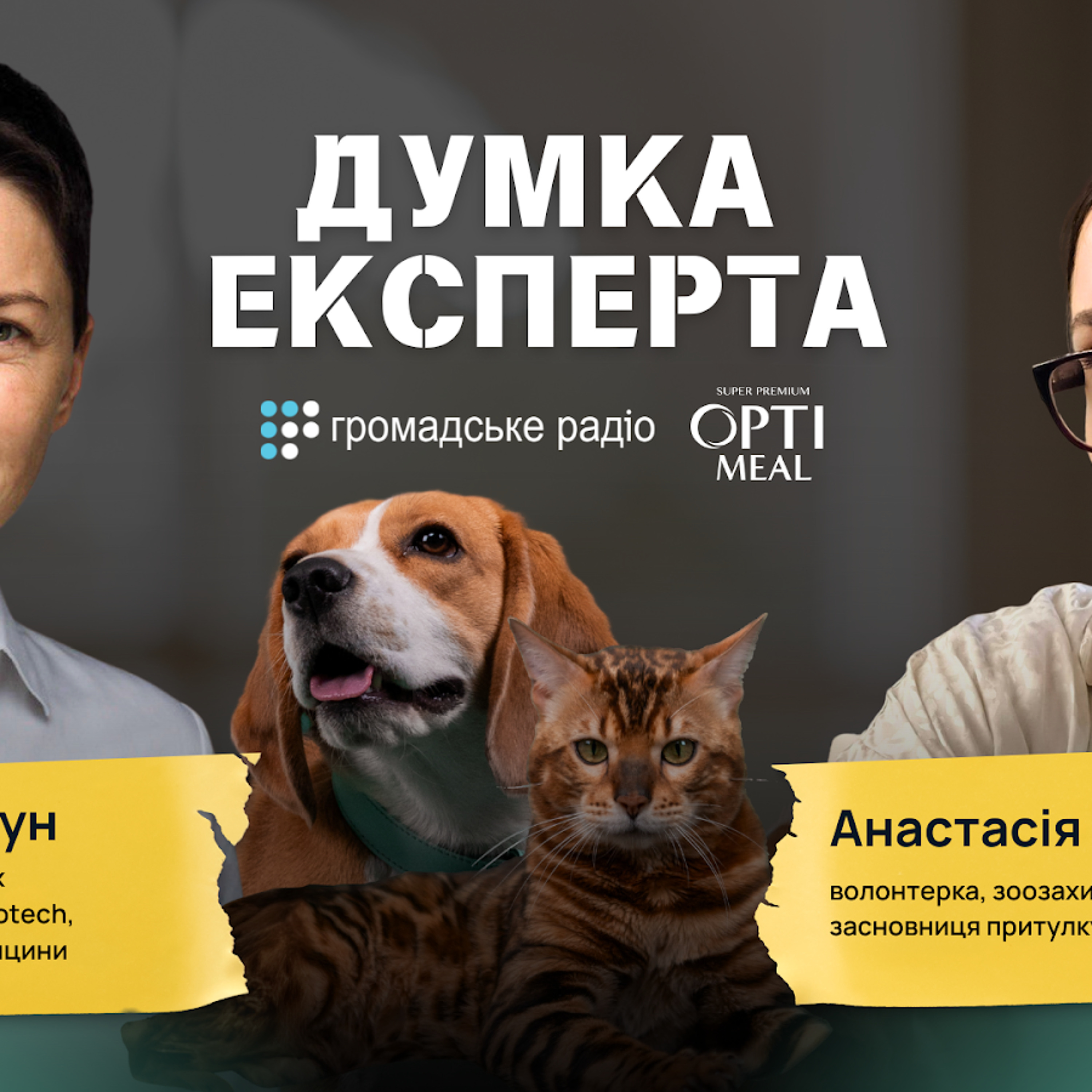 «Для тварини обстріли — це кінець світу»: як піклуватись про здоров'я домашніх тварин під час війни episode artwork