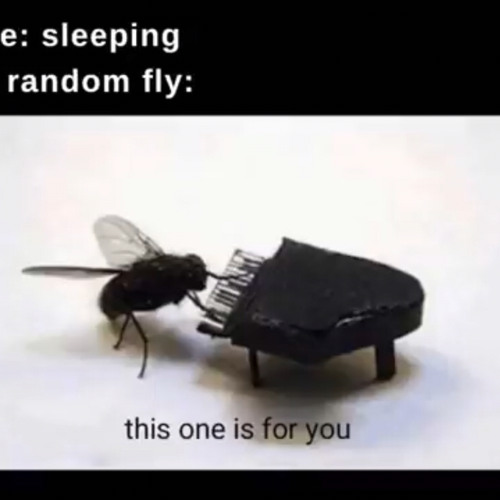 Stream 狽音ウルシ Kara Kara Kara No Kara Emptiness Emptiness Emptiness