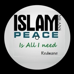 ISLAM IS ALL I NEED - Read One