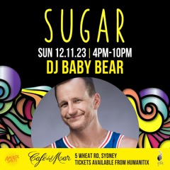 Baby Bear House - Sugar Warm Up