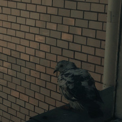 Vitaliy Fedorivskiy - Місця щасливих людей (Скрябін) (FEDORIVSKIY REMAKE)