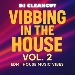 Dj Cleancut - VIBBING IN THE HOUSE 2
