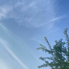 franklin clips [soap runner + lucra400]