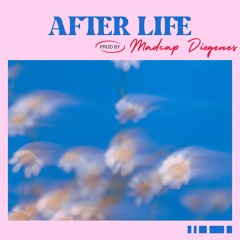 Synthwave / After Life (Prod by. MADCAP DIOGENES)
