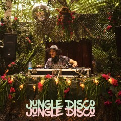 Indigogh - Jungle Disco Mix