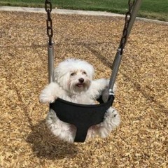 곧 없어질 수 있음