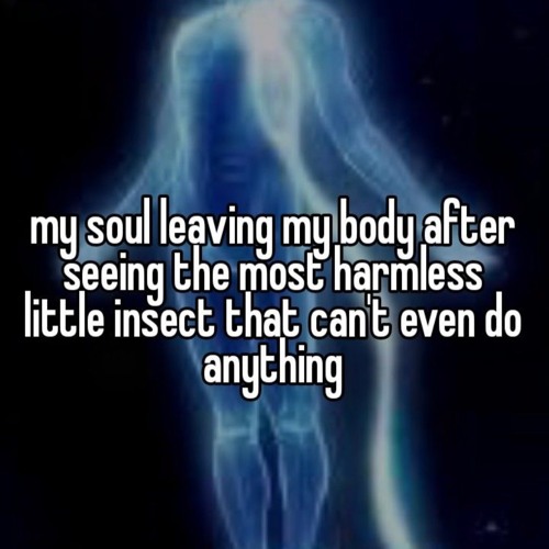 My bdays in a few days so here 😍 (i posted this jan 15 2024-)