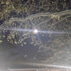 my best friend is the night time (secre x wraithontheporch)