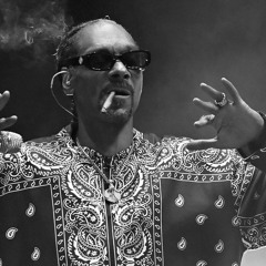 Snoop Dogg - Sexual Seduction [Hoax (BE) 'Hands' Edit]